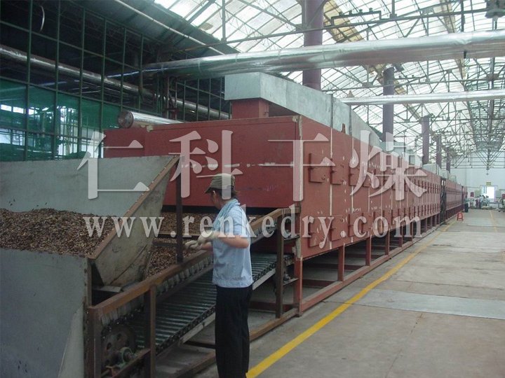 DWC系列脱水蔬菜带式干燥机